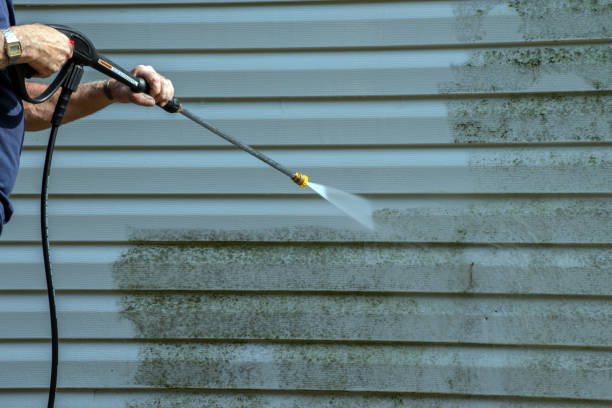 Trusted Selmont West Selmont, AL Pressure washing Experts